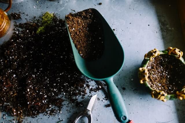 Is wood ashes good for insects and pests repel by mixing with compost?
