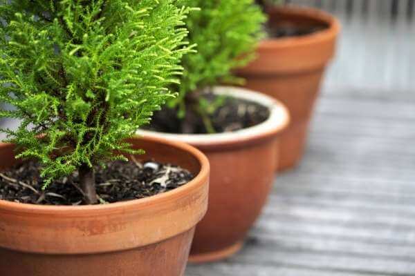 How to water a small space garden based on the container material