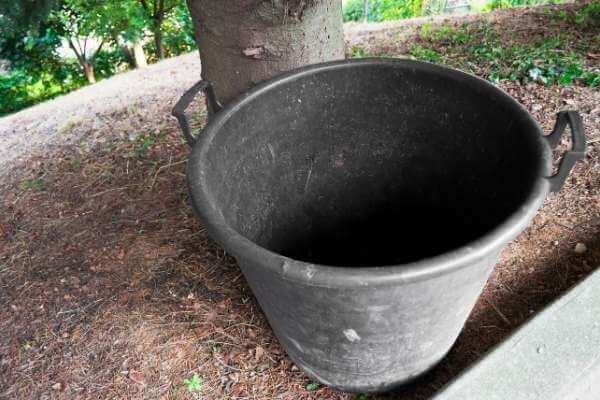 Do growing cucumber plants in containers good for winter?