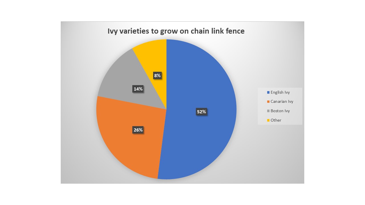 pie chart about which ivy variety to grow on chain link fence