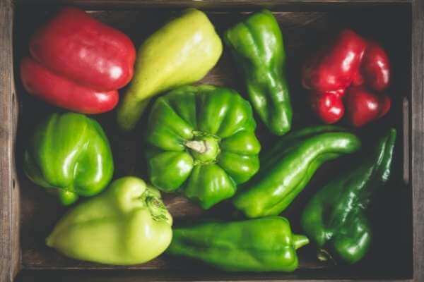 Bell pepper plant vs Jalapeno plant: [The Great Comparison!]