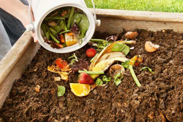 COmposting banana peels is the best way to use banana peels as a fertilizer for indoor plants
